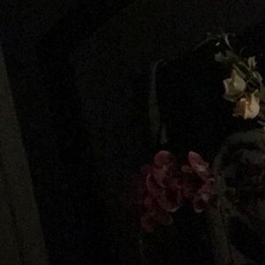 Meet your Posher, Anissa